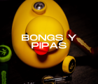 Bongs y Pipas